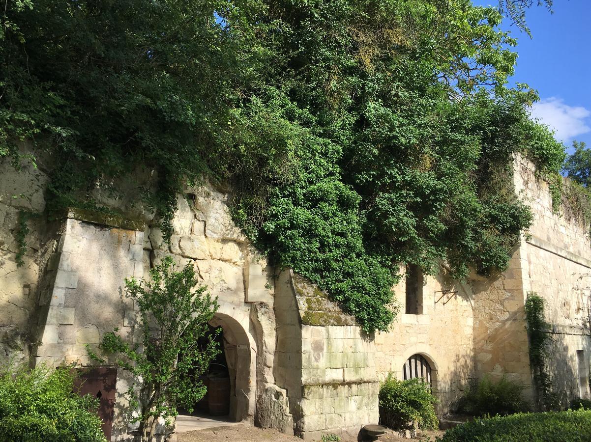 Hotel La Seignere Saumur Exterior foto